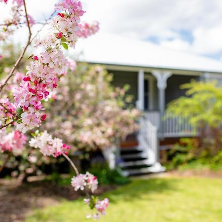 Apple Blossom Cottages Stanthorpe Exteriér fotografie