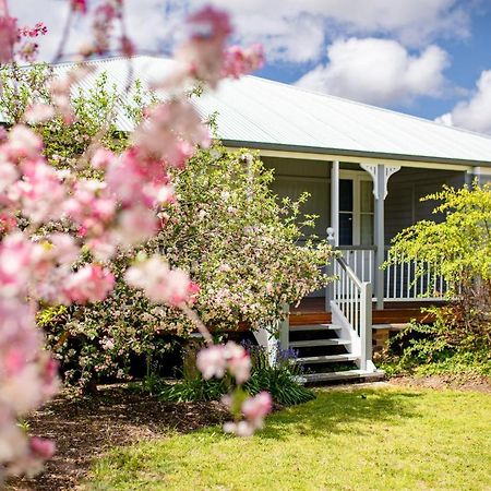 Apple Blossom Cottages Stanthorpe Exteriér fotografie
